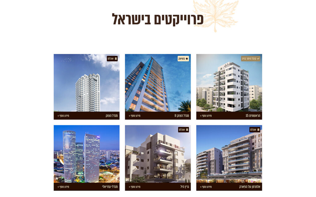 פרוייקטים בישראל